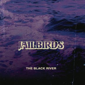 Download track Black Madonna The Jailbirds