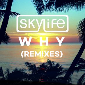 Download track Why (Acids Remix) Skylife