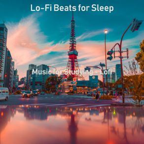 Download track Lo-Fi - Background For Working At Home For Sleep