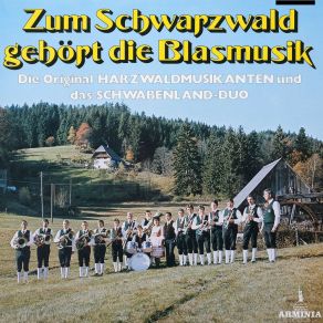 Download track Zum Schwarzwald Gehört Die Blasmusik Schwabenland-Duo