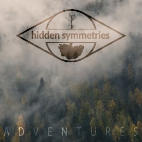 Download track Frozen Lake Hidden Symmetries