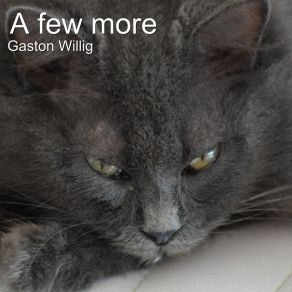 Download track Wait Gaston Willig