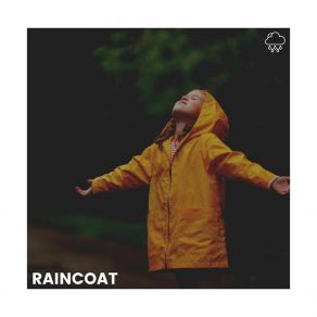 Download track Gentle Raindrops, Pt. 5 Relaxing Rain