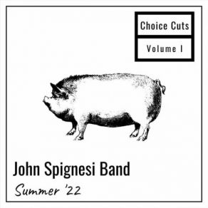 Download track Blank Canvas (Live) John Spignesi Band