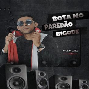 Download track Lapada Na Raba Nando O Baixinho