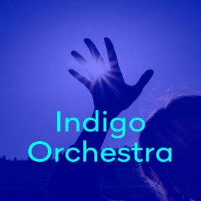 Download track Endless Light Indigo Orchestra