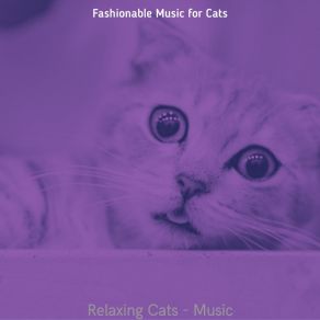 Download track Sunny (Relaxing Cats) Fashionable Music For Cats