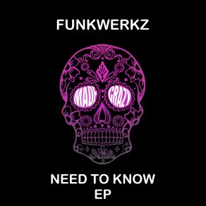 Download track Take Your Mind (Original Mix) Funkwerkz