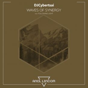 Download track Waves Of Synergy (Following Light Remix) Djcybertsai