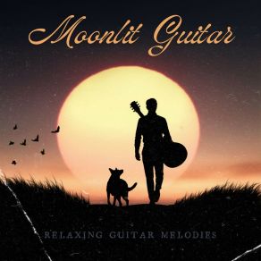 Download track Sunset Strings Relaxing Guitar Melodies