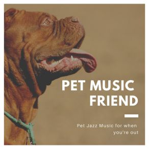 Download track Pet Music Long Days Pet Music Friend