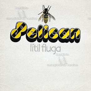 Download track Litla Flugan Pelican