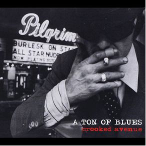 Download track I Won'T Be Your Fool A Ton Of Blues