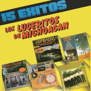 Download track Los Saucitos Los Luceritos De Michoacan