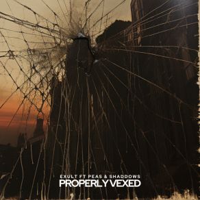 Download track Properly Vexed (Dub Mix) Shaddows