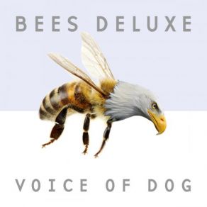 Download track Song No. 9 Bees Deluxe