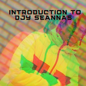 Download track Joyful Dance Djy Seannas