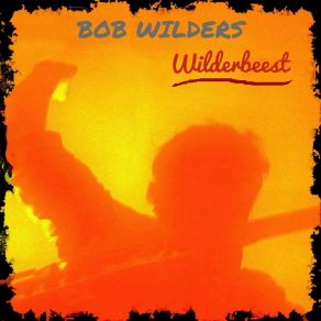 Download track Why Didja Do Waddja Did? Bob Wilders