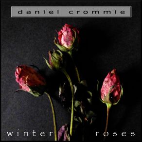 Download track Winter Roses Daniel Crommie