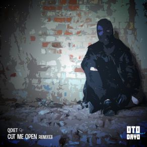 Download track Cut Me Open (Qvntvm Remix) Qoiet