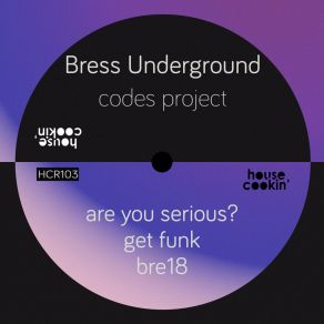 Download track Are You Serious? Bress Underground