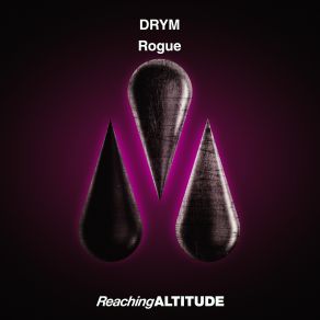 Download track Rogue Drym