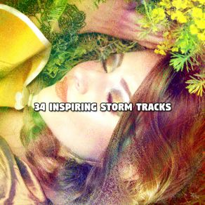 Download track Drops Of Rain Rain Sounds Sleep