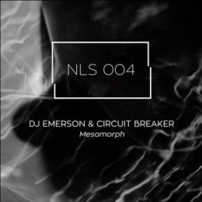 Download track Mesomorph (Jonas Kopp Remix) DJ Emerson, Circuit Breaker