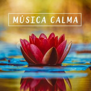 Download track Música Nova Era Oriental Meditação Música Ambiente