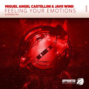 Download track Feeling Your Emotions (Extended Mix) Miguel Angel Castellini, Javii Wind