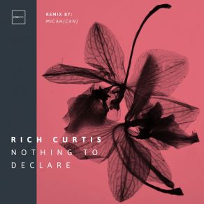 Download track Nothing To Declare (Original Mix) Rich Curtis