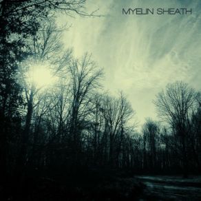 Download track Visual Frisson Myelin Sheath