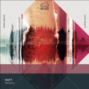 Download track Delusion (Lee Jones Remix) Haft