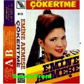 Download track Şu Milasın İçinde Emine Akmeşe