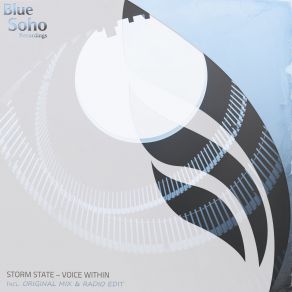 Download track Voice Within (Radio Edit) Storm State