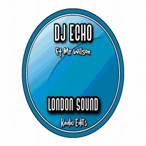 Download track Thirteen (Radio Edit) DJ EchoMr. Wilson