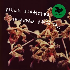 Download track Det Vokser Ville Blomster På Månen Liv Andrea Hauge Trio