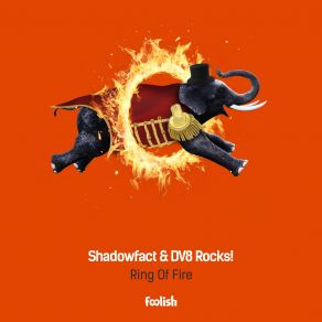 Download track Ring Of Fire DV8 Rocks!, Shadowfact