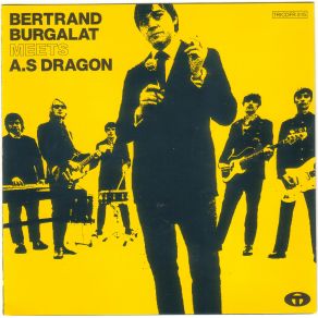 Download track Aux Cyclades Électronique Bertrand Burgalat, A. S Dragon, Count Indigo