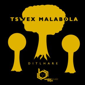 Download track Mophane (Tribesman Tapes Rework) Tswex MalabolaShivers Bw