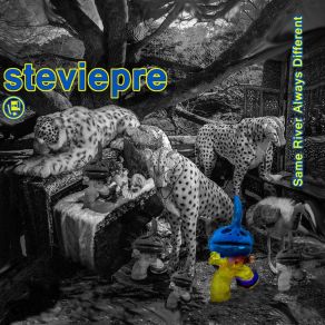 Download track Don't Tell Them Different Stevie Pre