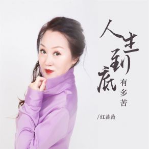 Download track 人生到底有多苦 红蔷薇