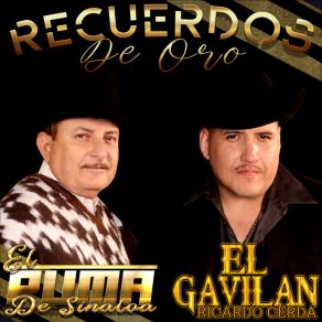 Download track Recuerdame Y Ven A Mi El Puma De Sinaloa