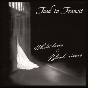 Download track Cellar Door Toad In Transit