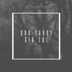 Download track Una Tarde Sin Luz David Rosh