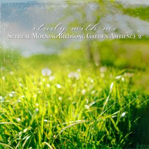 Download track Surreal Morning Birdsong Garden Ambience, Pt. 11 Sebastian Riegl