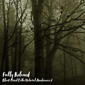 Download track Bleak Forest Path Natural Ambience, Pt. 16 Steve Brassel