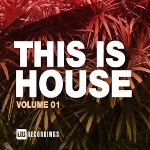 Download track Funky Vibes Vol 3 (Original Mix) Dr. House