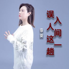 Download track 误入人间这一趟 (Dj光波版伴奏) 光波