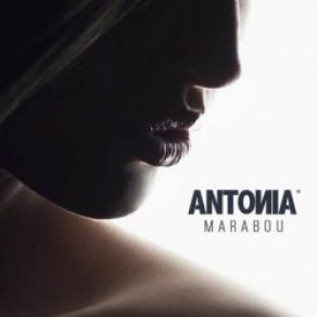 Download track Marabou (Lu - K Beats Remix) Antonia